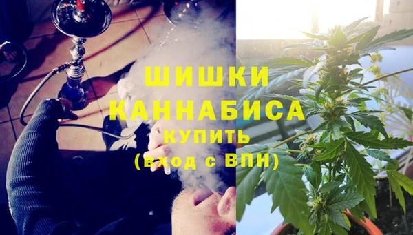 шишки Гусь-Хрустальный