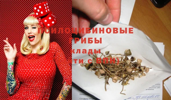 ПСИЛОЦИБИНОВЫЕ ГРИБЫ Алзамай